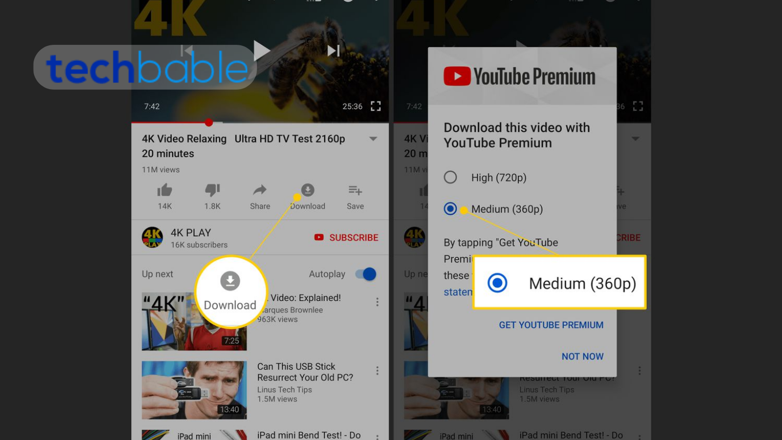 How to install the Youtube Premium APK on